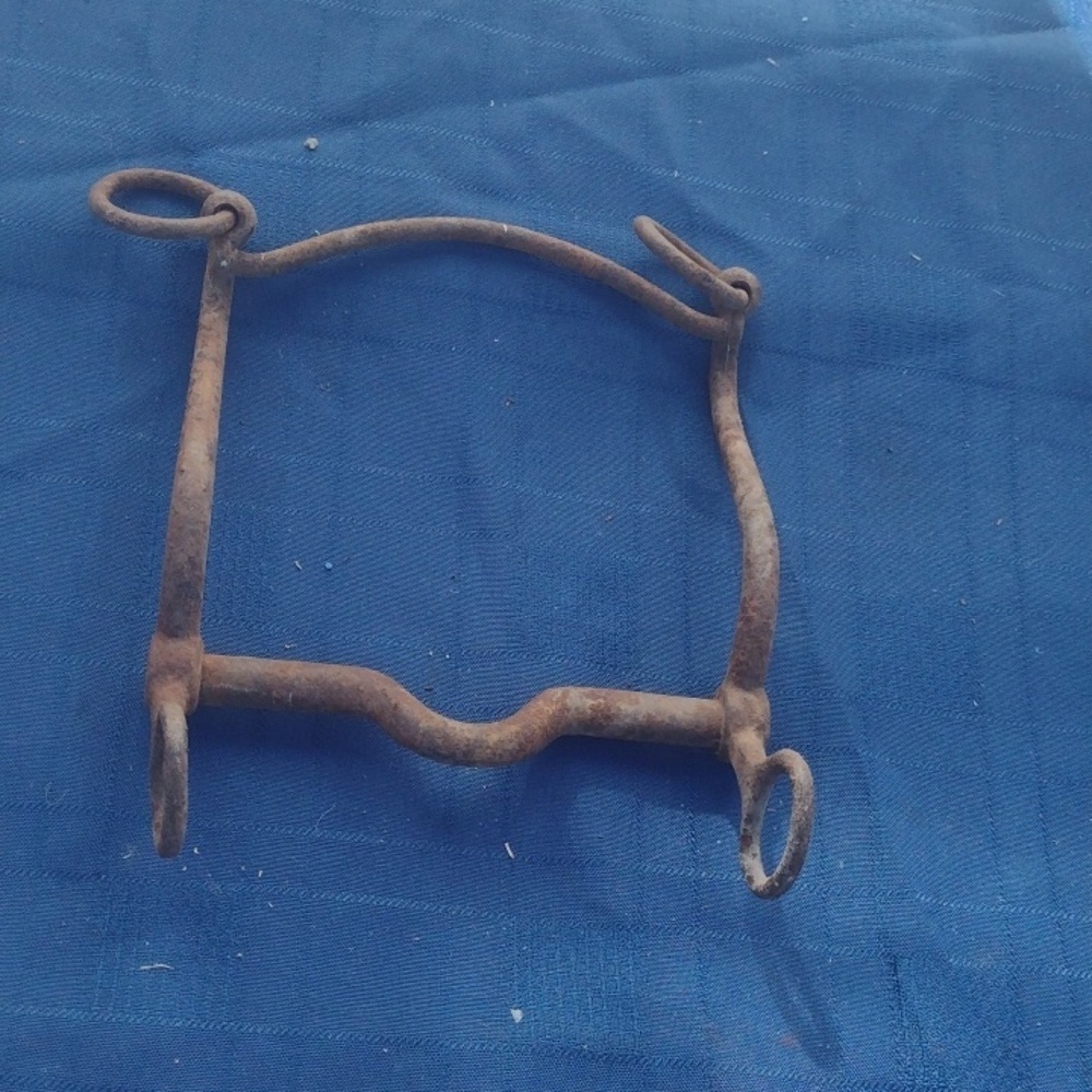 Antique Iron Horse Bit